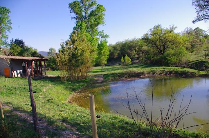 מלון לאגורס Domaine De Chadeyron מראה חיצוני תמונה