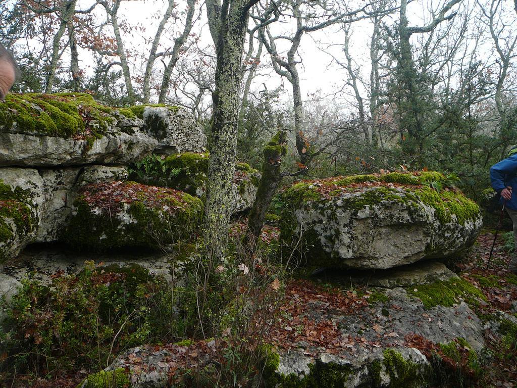מלון לאגורס Domaine De Chadeyron מראה חיצוני תמונה